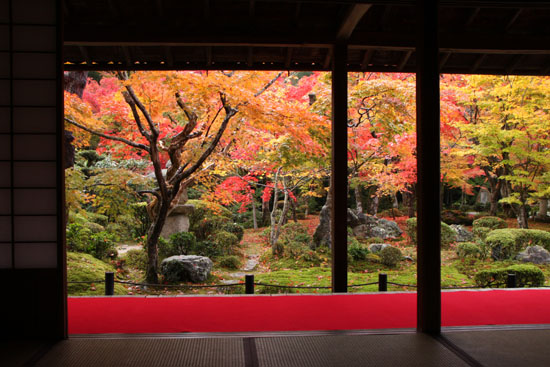 紅葉だより22　圓光寺_e0048413_22105184.jpg