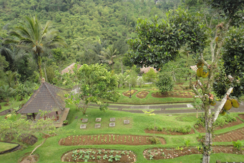 d0063314_1753479.jpg