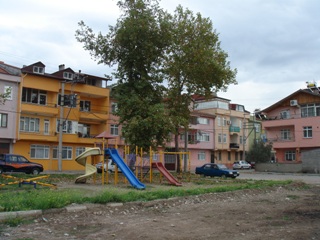 b0182718_543657.jpg