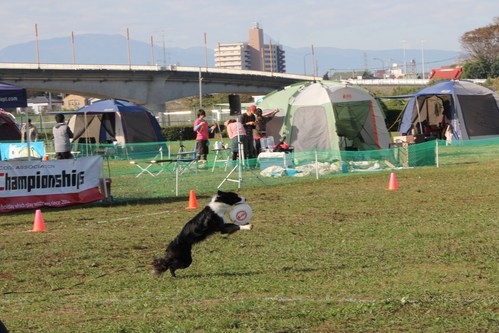 NDA寒川　写真編1_a0232619_19454398.jpg