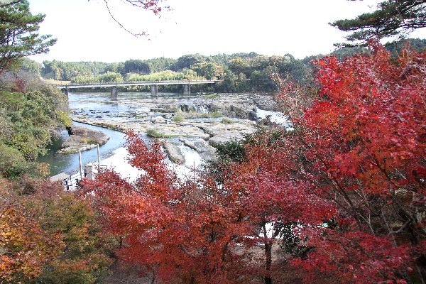 曽木の滝公園の紅葉_e0125220_0542725.jpg