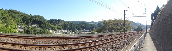 f0000521_849231.jpg
