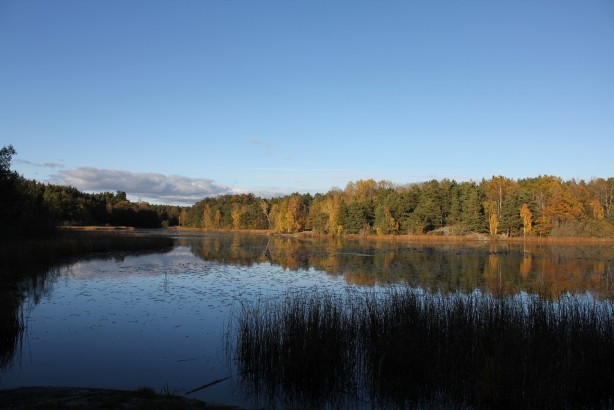e0250023_12291640.jpg