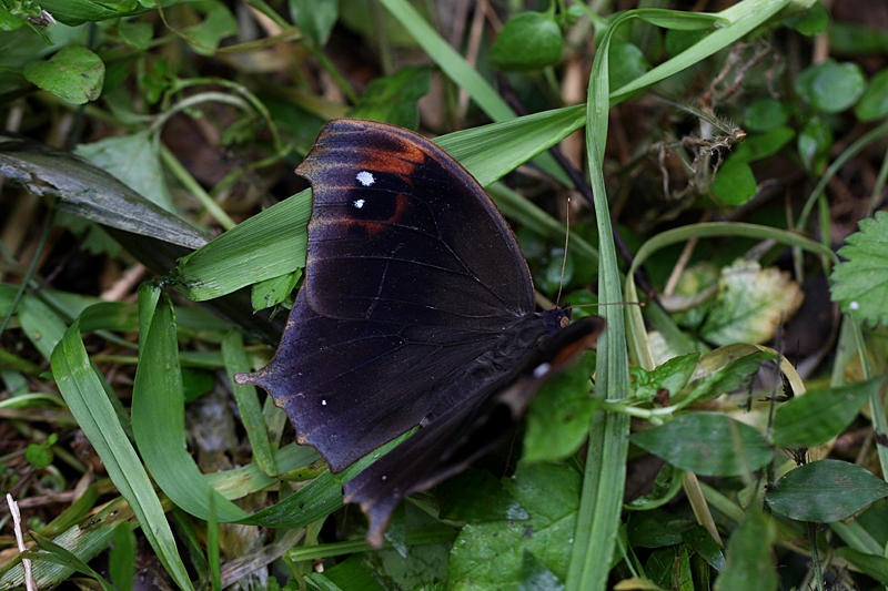 d0054625_2125943.jpg