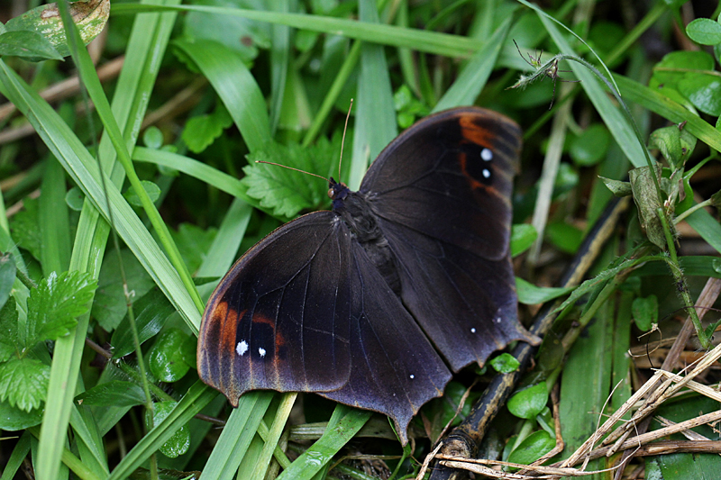 d0054625_2131961.jpg