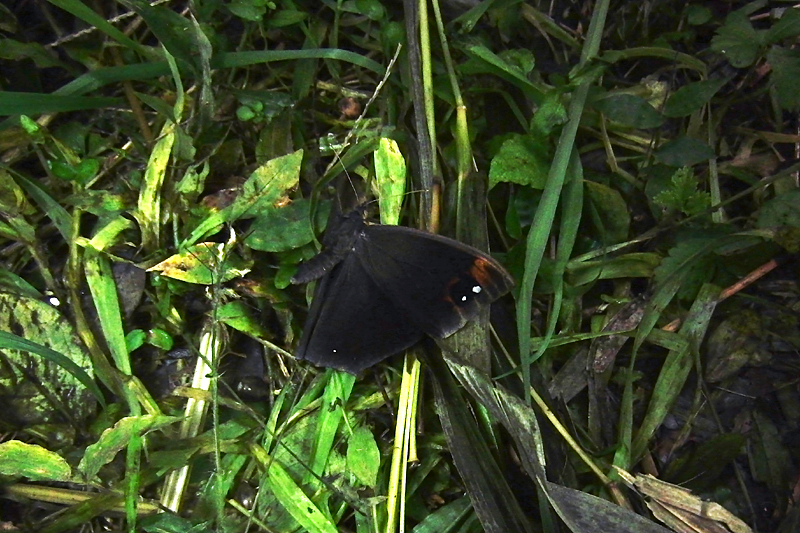 d0054625_2143521.jpg