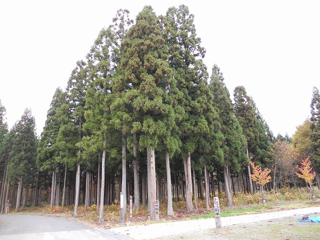 f0085327_8152283.jpg