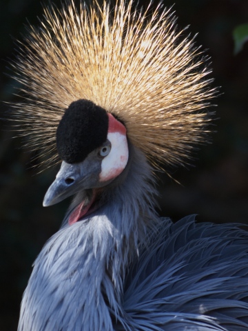 動物園_c0077531_21521376.jpg