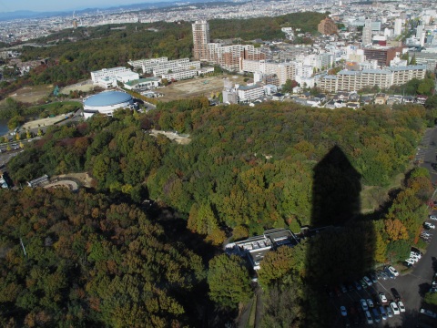 動物園_c0077531_2213694.jpg