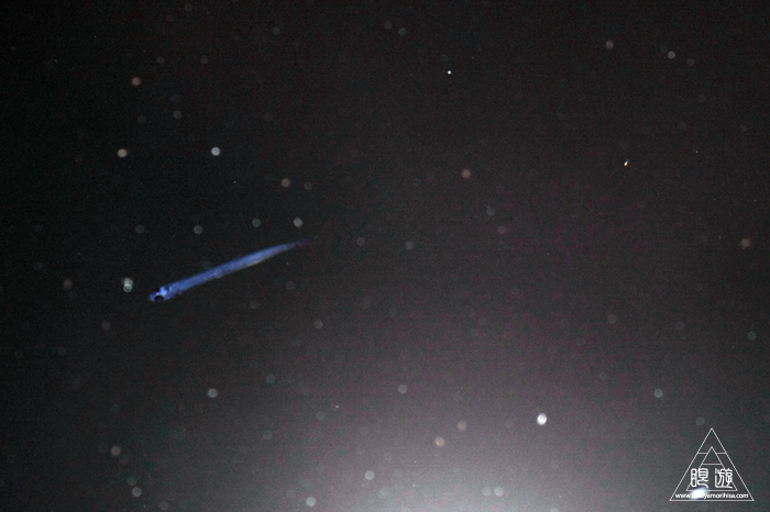 282 島根町 ~やっぱり夜釣りのもんだわ~_c0211532_021494.jpg