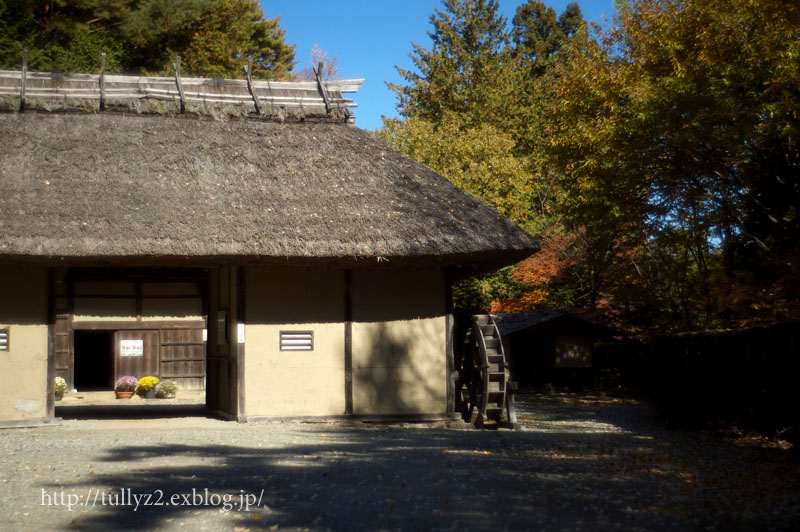 駒ヶ根の紅葉　（４）_d0108132_15161658.jpg