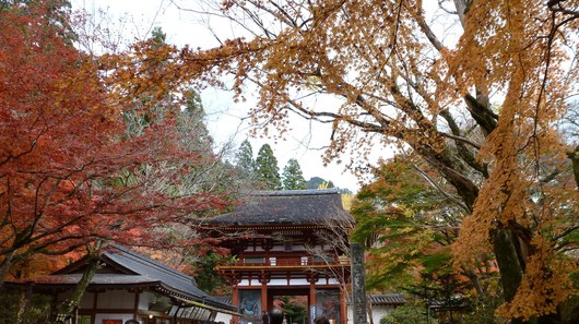 室生寺_a0228333_1948796.jpg