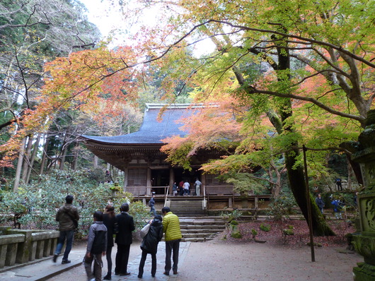 室生寺_a0228333_19543652.jpg