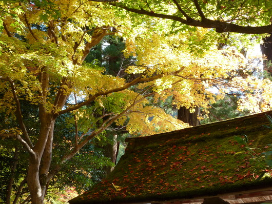 室生寺_a0228333_201234.jpg