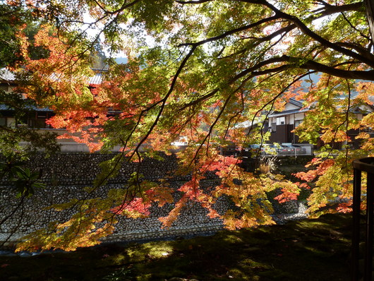 室生寺_a0228333_20162466.jpg