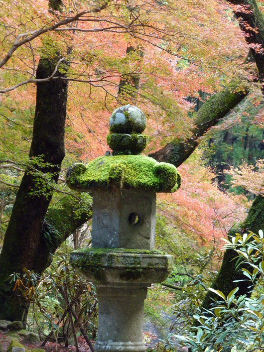 室生寺_a0228333_2035750.jpg