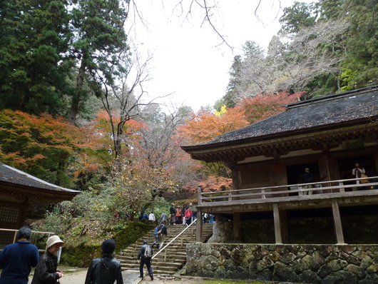 室生寺_a0228333_20362987.jpg