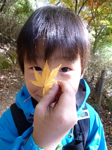 ぶらり紅葉ウォーキング_c0113733_2110340.jpg