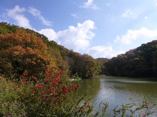 ぶらり紅葉ウォーキング_c0113733_216063.jpg