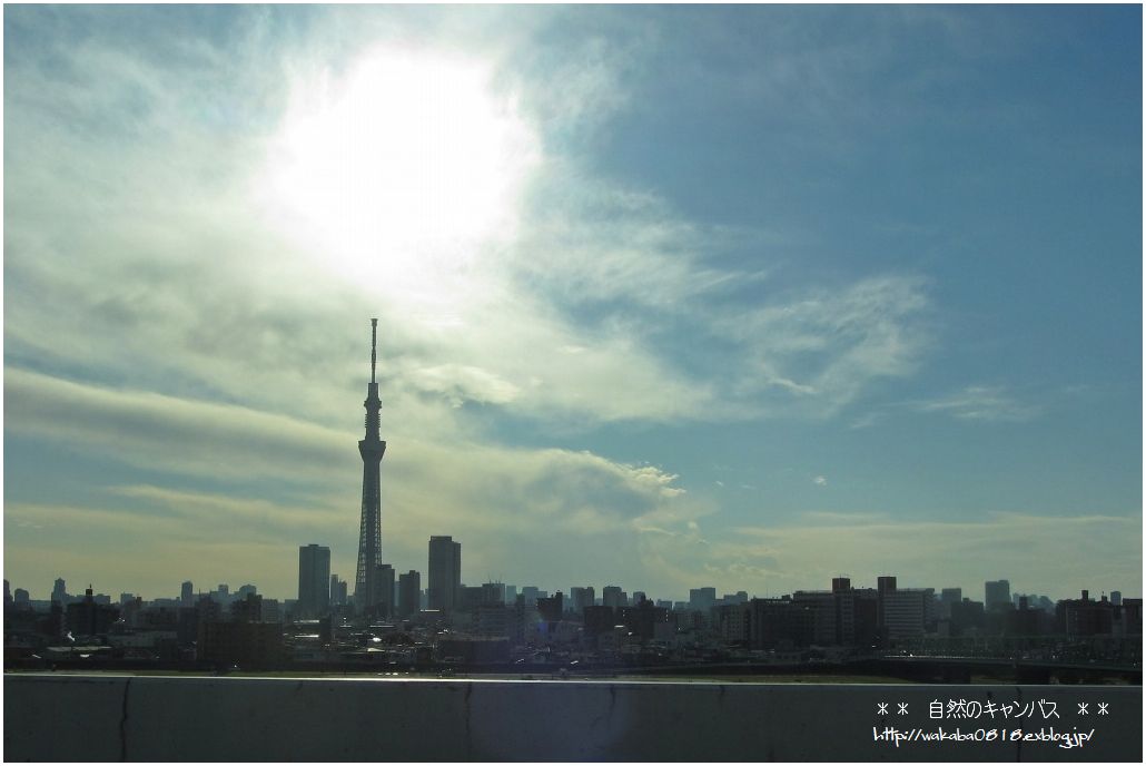 高速道路よりの日の出撮影（＾－＾；）_e0052135_2252734.jpg