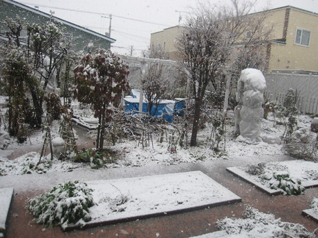 ついにやって来た初雪とおやつ_a0279743_15575123.jpg