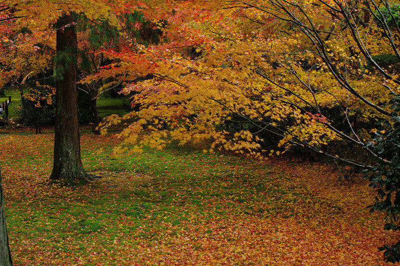 f0152550_17185858.jpg
