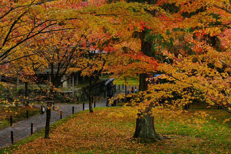 f0152550_17191188.jpg