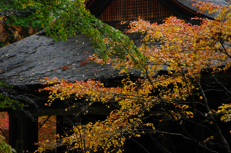 f0152550_17214451.jpg