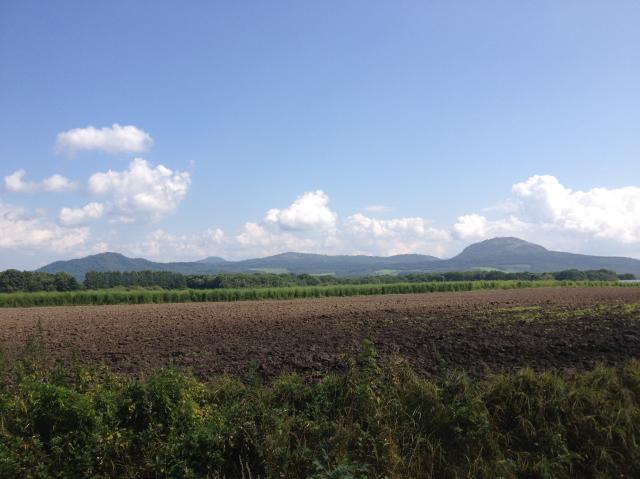 c0105957_176276.jpg