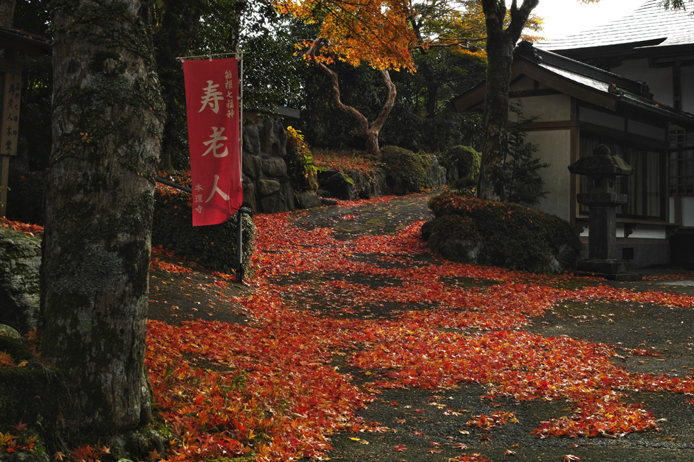 箱根紅葉その２_a0146658_829553.jpg