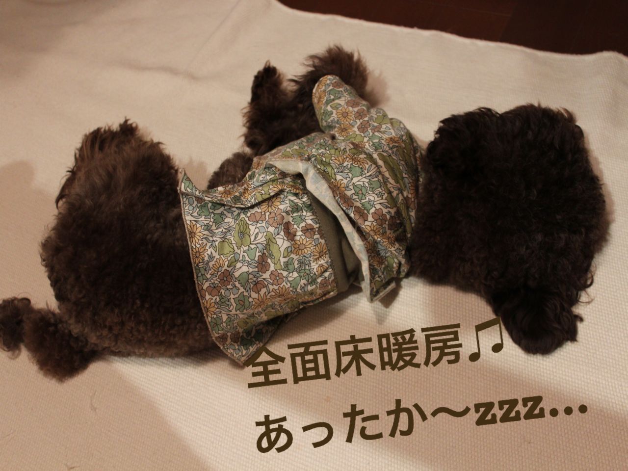 b0220958_23153764.jpg