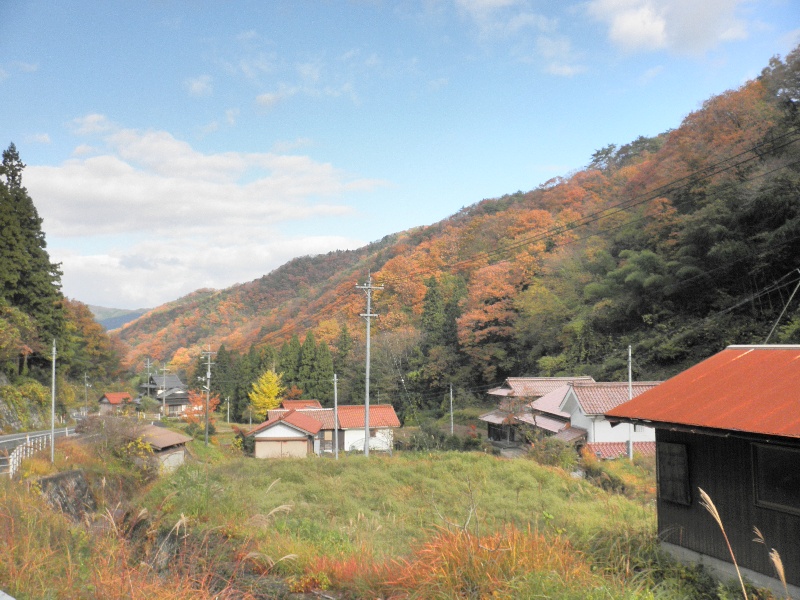 c0016259_228514.jpg