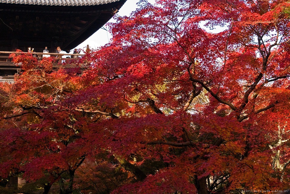 ２０１２紅葉～南禅寺_f0102363_22213511.jpg