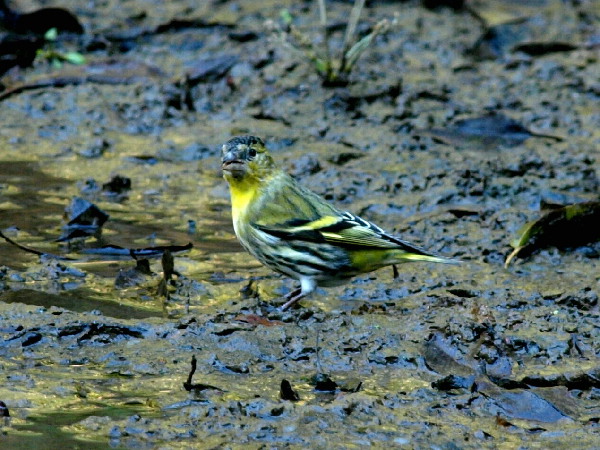 f0208666_20352123.jpg