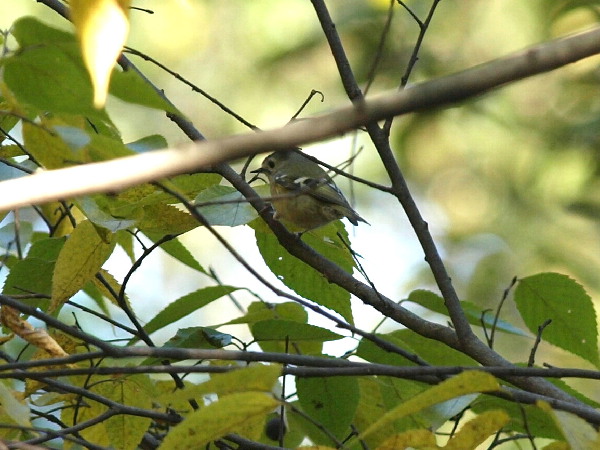 f0208666_20523142.jpg