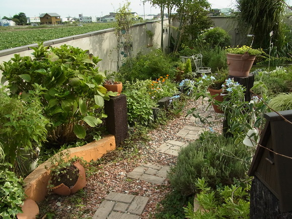 b0194267_19515215.jpg