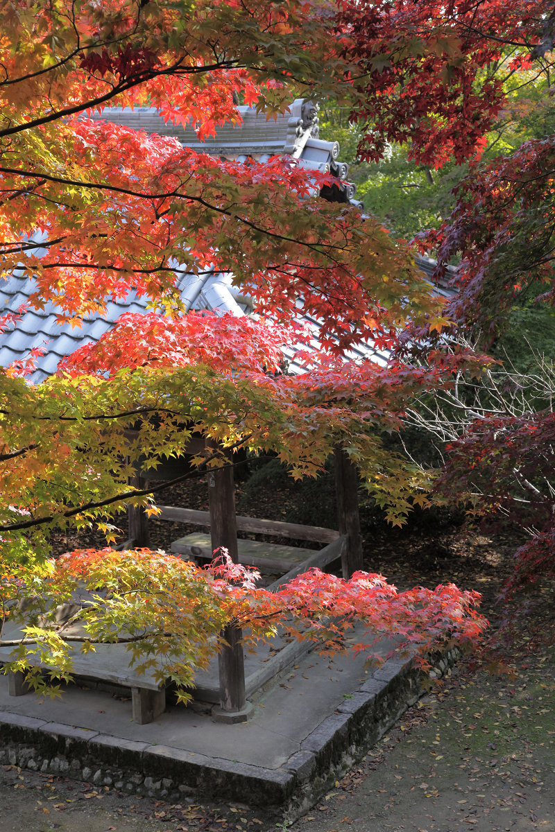 紅葉　2012 西山　　勝持寺_f0021869_2244543.jpg