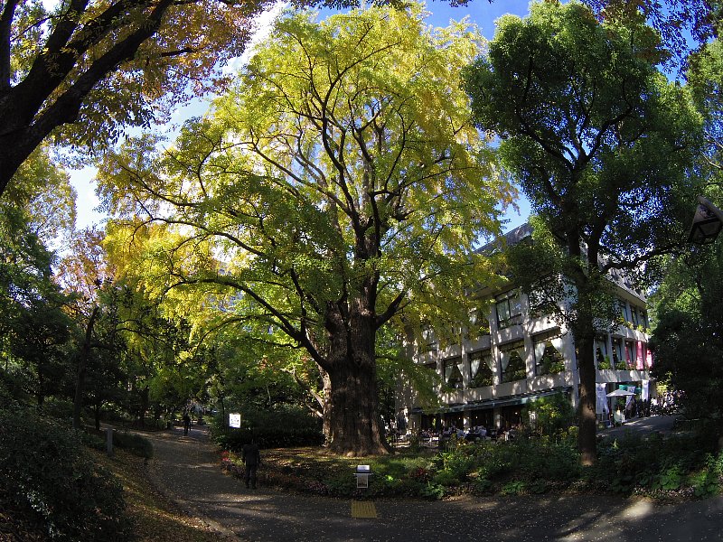 b0084270_2319318.jpg