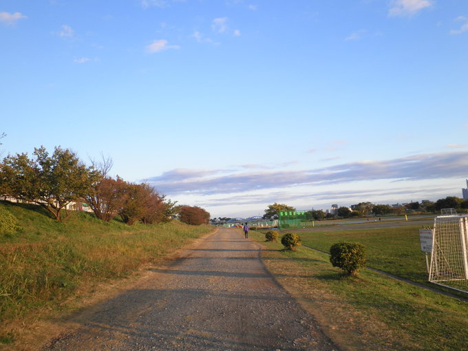 初冬、多摩川_c0200971_20524652.jpg