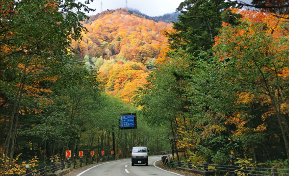 f0084573_18141135.jpg