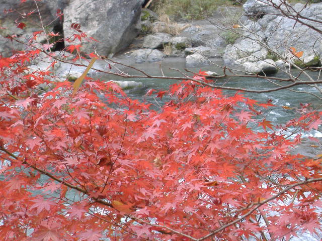 a0295774_18521891.jpg