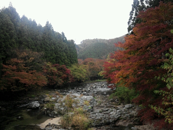 e0255775_8175995.jpg