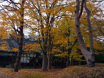 f0083977_17291790.jpg