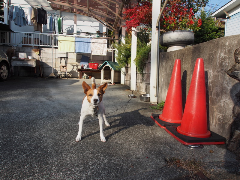 空気が乾燥しているから_c0109780_1750987.jpg