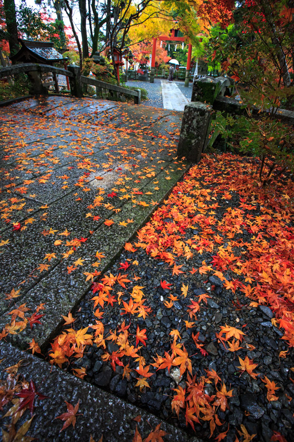 紅葉！　～鍬山神社～！_b0128581_2040530.jpg