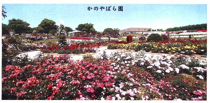 c0111581_2044475.jpg