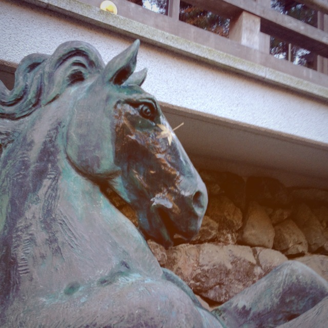 f0167281_1837489.jpg