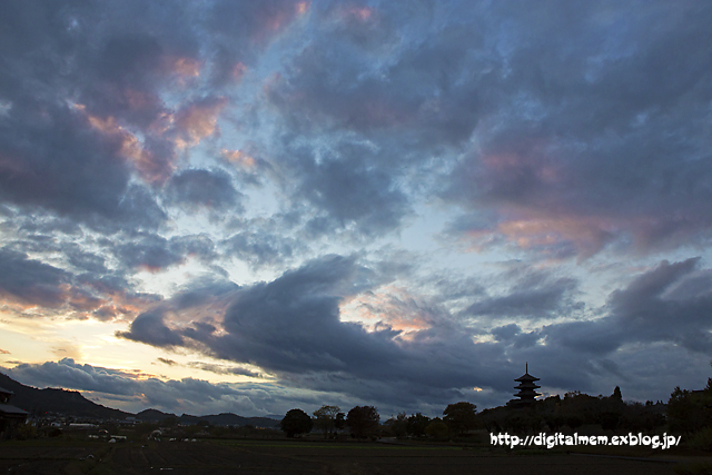 備中国分寺の夕景　11/17_c0083985_144430100.jpg