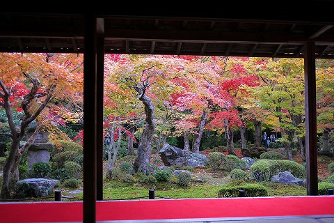 京都紅葉　圓光寺_d0259585_1914418.jpg