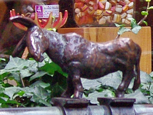 e0271988_2375742.jpg